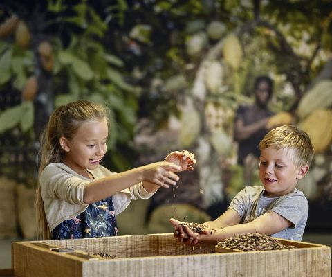 Due bambini esaminano giocosamente le fave di cacao 