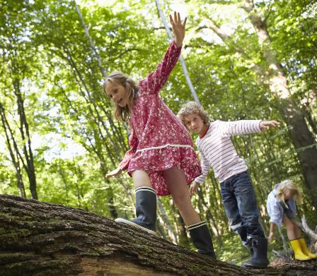 Drei Kinder in Gummistiefeln balancieren über einen Baumstamm